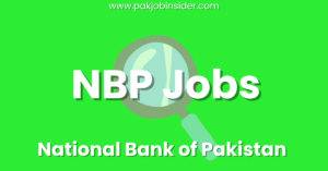 nbp jobs 2024