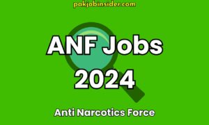 ANF Jobs 2024