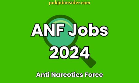 ANF Jobs 2024